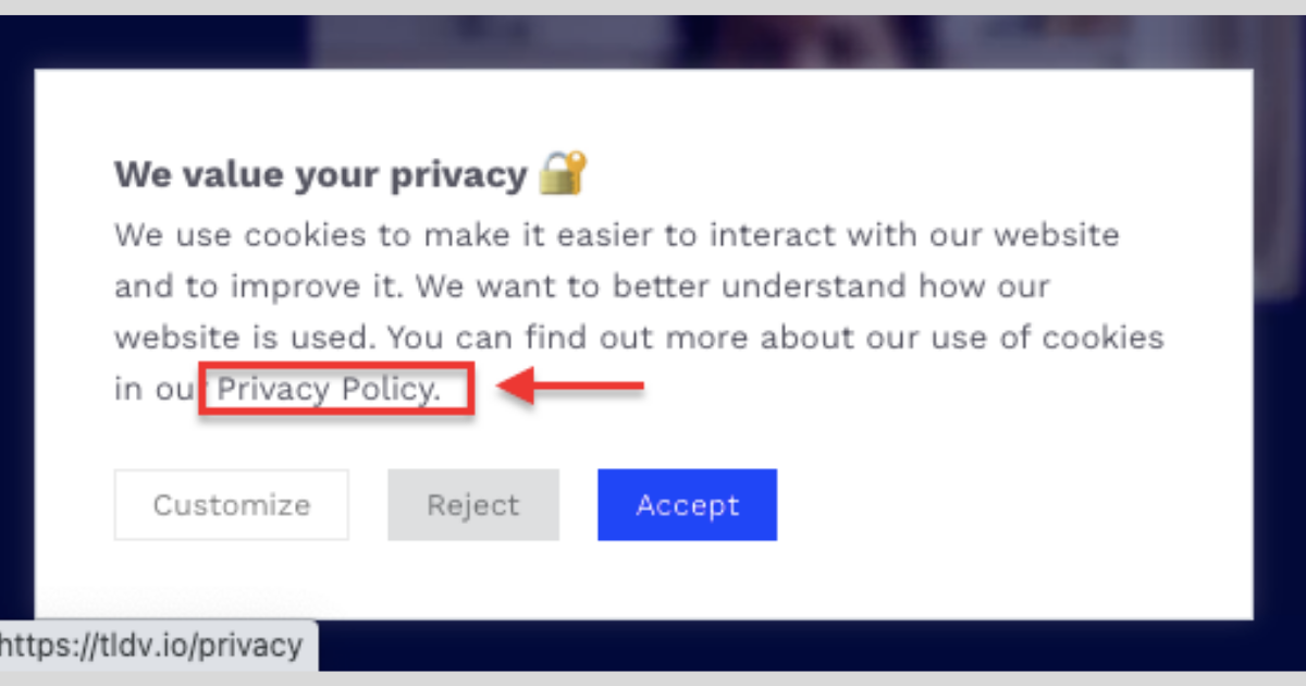 tl;dv cookie banner with privacy policy link.