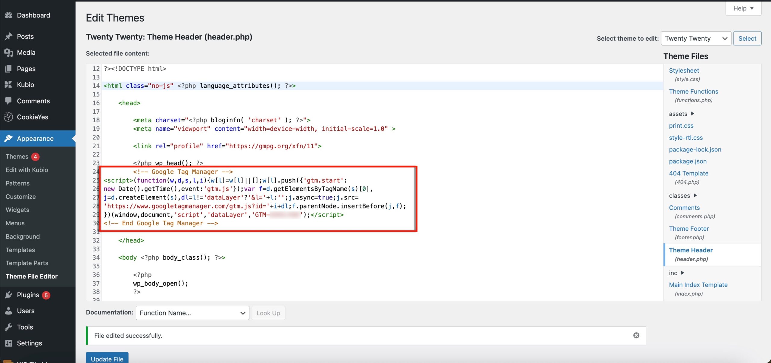 Google Tag Manager Script