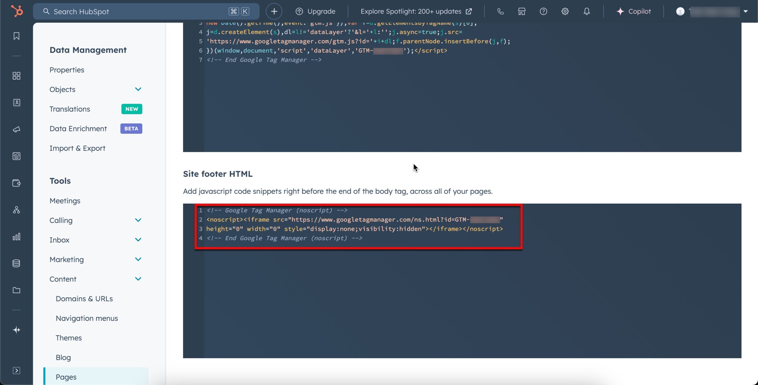 paste code - footer