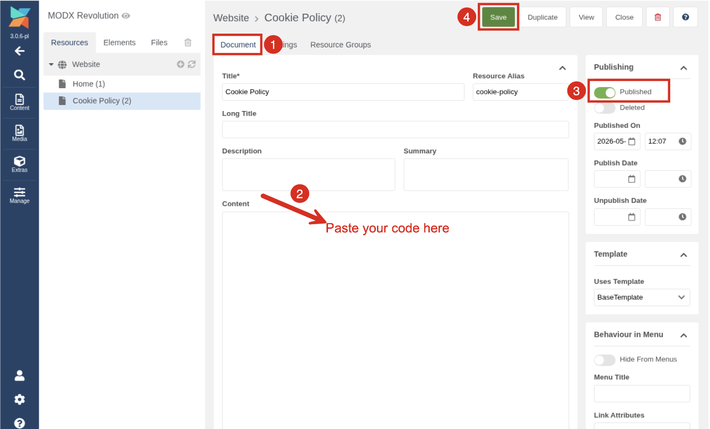 paste-the-code-and-save
